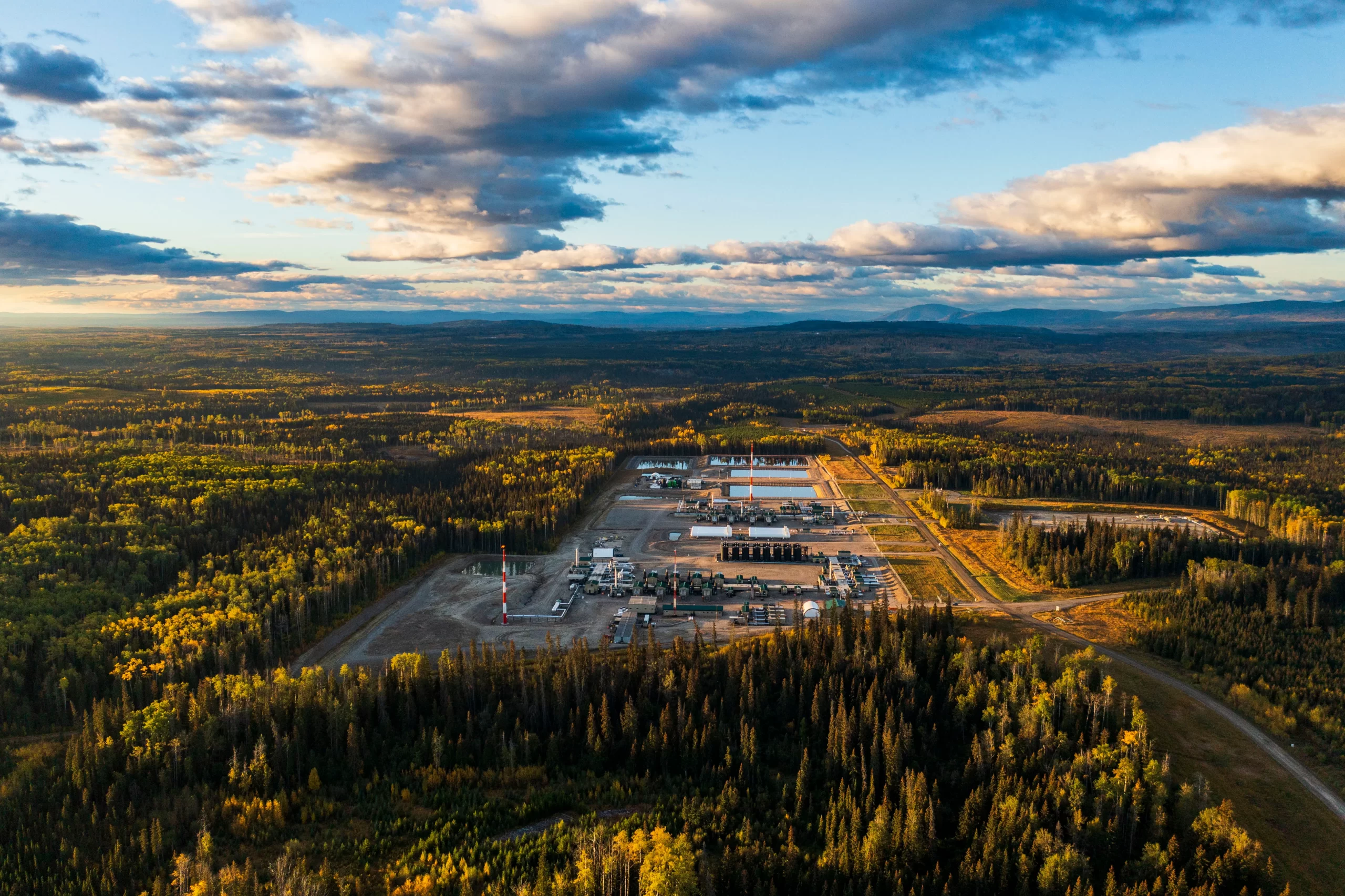 A forest landscape highlights RGE’s 2030 commitments to long-term sustainability goals and targets.