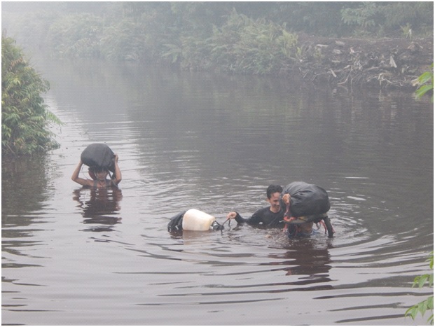 Swimming or walking neck high across rivers is part of everyday travel in the Kampar Peninsula peat swamp forest areas, especially for the camera trap team. They float their gear using plastic jerry cans, trash bags, and air-filled wet sarongs.