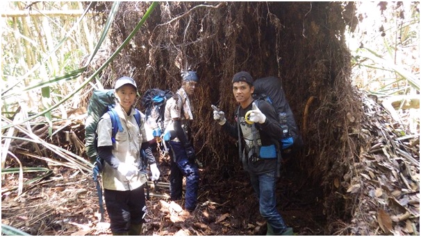 The camera trap team hiking to check the cameras.