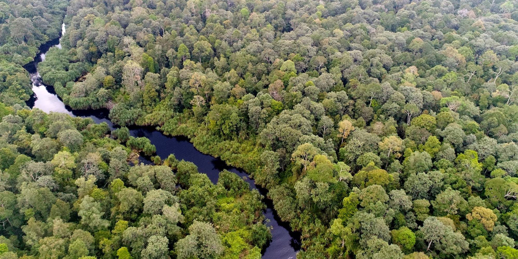APRIL Sustainability Report 2017