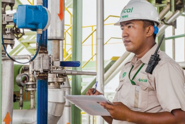 Apical Sustainability Report 2017