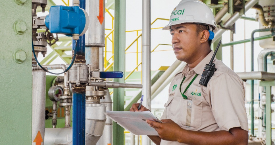 Apical Sustainability Report 2017