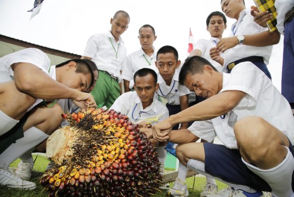 Asian-Agri-Learning-Institute Outdoor Training