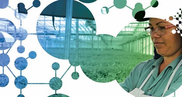 Bracell Sustainability Report 2016