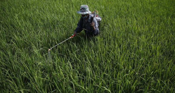 Indonesia Rural Potential