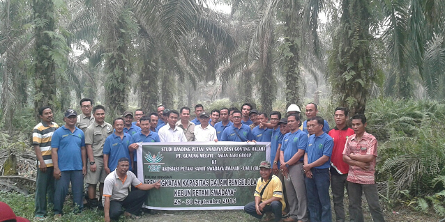 Asian Agri promotes and harmonises best oil palm plantation practices across its smallholder partners