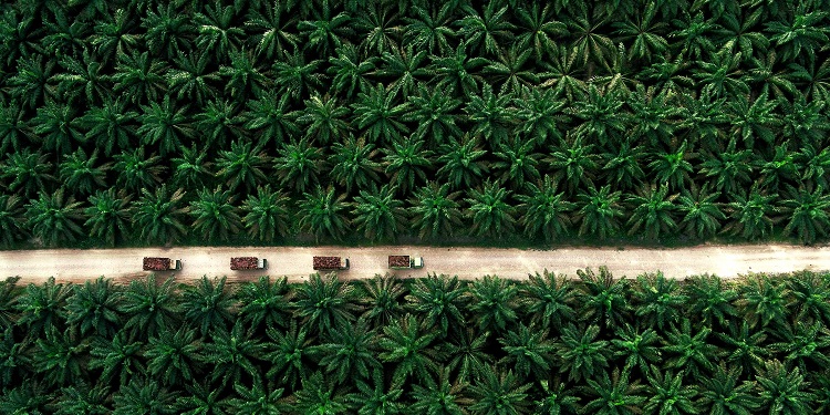 Asian Agri Apical SMILE