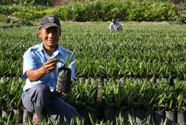 Asian Agri Topaz Palm Oil