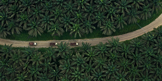 Unlocking Rural Potential