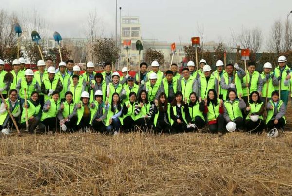 Asia Symbol Shandong Tree Planting