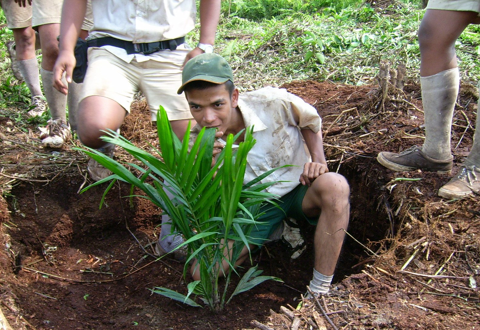 Employee performing harvesting, planting, fertilising, and pest control on Asian Agri's plantation.