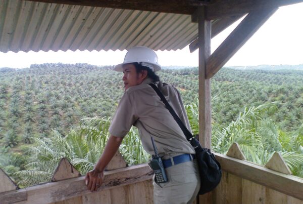 Sufriyadi, an employee at Asian Agri, overlooking the plantations.