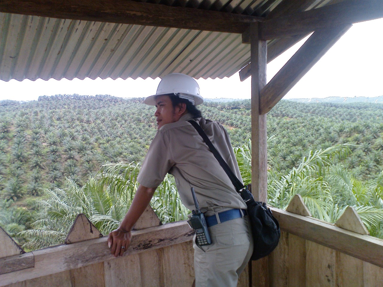 Sufriyadi, an employee at Asian Agri, overlooking the plantations.