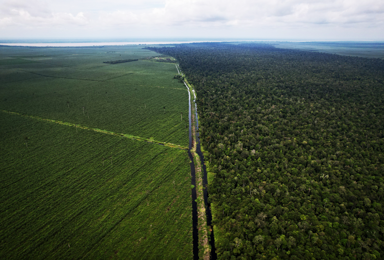 Commercial and conservation forest in APRIL.