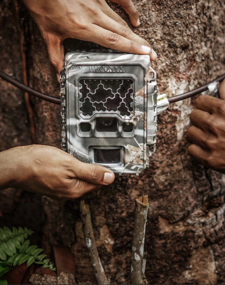 Camera traps used in RER.