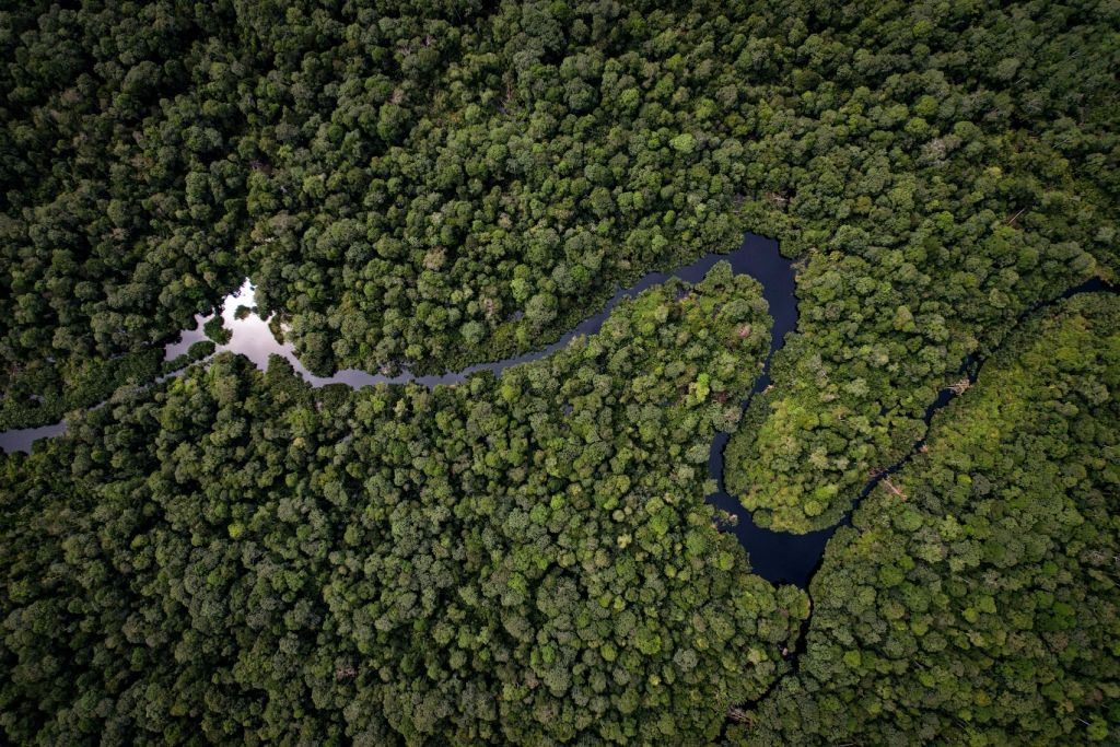 Sustainability is built into APRIL's core operations and business goals, from plantations to conservation areas.